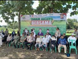 Dukung Ketahanan Pangan, Lurah Sukawana Ikut Tanam Jagung di Lahan 10 Hektare