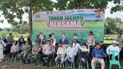 Dukung Ketahanan Pangan, Lurah Sukawana Ikut Tanam Jagung di Lahan 10 Hektare