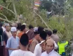 Pohon Beringin Tua Tumbang di Alun-Alun Pemalang Saat Salat Idul Fitri, Dua Orang Meninggal