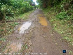 Rusak Bertahun-tahun, Jalan Curug-Walantaka Belum Juga Diperbaiki, Warga Resah