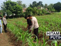 Polisi Baros Temui Petani Jagung, Dukung Ketahanan Pangan