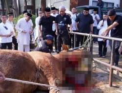 Polda Jabar Salurkan 77 Sapi dan 35 Kambing untuk Qurban Idul Adha 1446 H