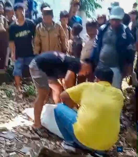 Warga Maja Dikejutkan Kemunculan Babi Hutan di Area Pasar