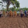 Polsek Rangkasbitung dan Warga Citeras Gelar Penanaman Jagung untuk Swasembada 2025