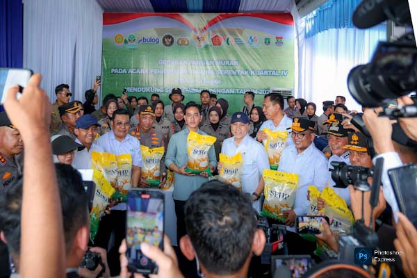 Banten Panen Prestasi Surplus Pangan 2025, Berkat Sinergi Pemerintah dan Polri